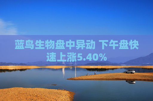 蓝鸟生物盘中异动 下午盘快速上涨5.40%