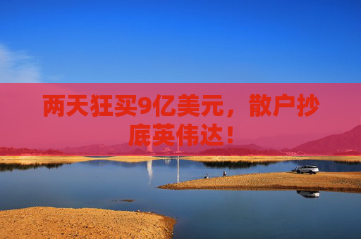 两天狂买9亿美元，散户抄底英伟达！