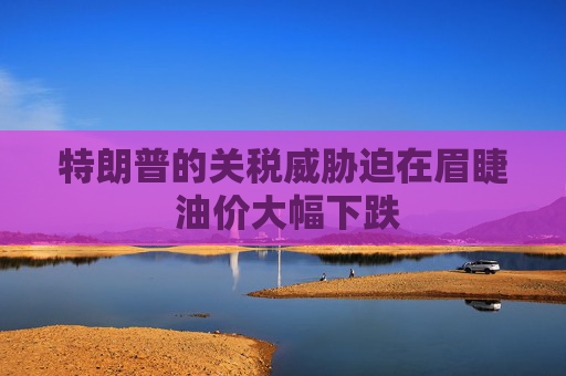 特朗普的关税威胁迫在眉睫 油价大幅下跌