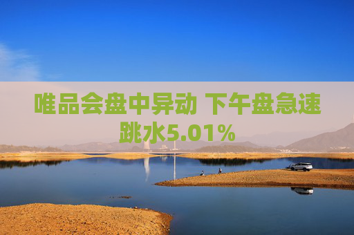 唯品会盘中异动 下午盘急速跳水5.01%