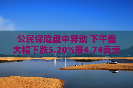 公民保险盘中异动 下午盘大幅下跌5.20%报4.74美元