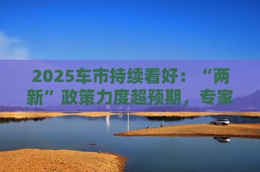 2025车市持续看好：“两新”政策力度超预期，专家预期年末走势更强劲