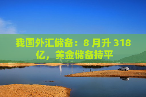 我国外汇储备：8 月升 318 亿，黄金储备持平