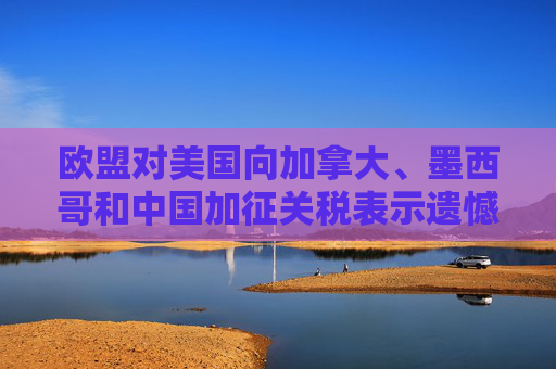 欧盟对美国向加拿大、墨西哥和中国加征关税表示遗憾