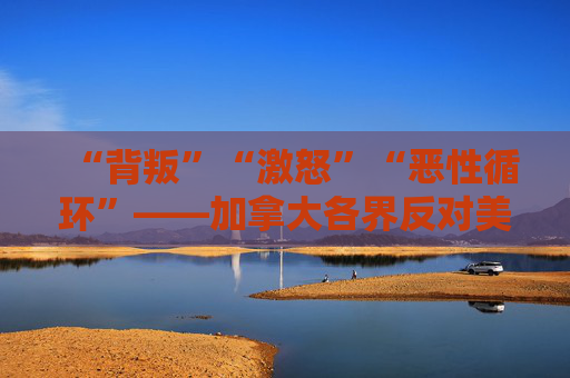 “背叛”“激怒”“恶性循环”——加拿大各界反对美国加征关税