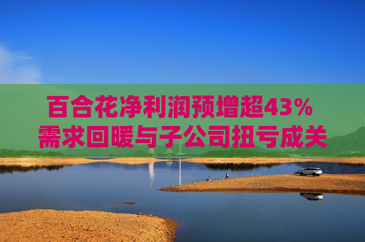 百合花净利润预增超43% 需求回暖与子公司扭亏成关键驱动