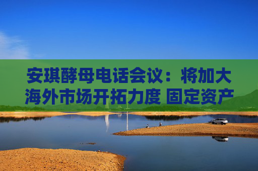 安琪酵母电话会议：将加大海外市场开拓力度 固定资产新增折旧会有增加