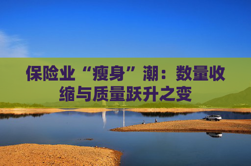 保险业“瘦身”潮：数量收缩与质量跃升之变