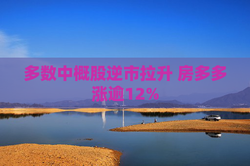 多数中概股逆市拉升 房多多涨逾12%
