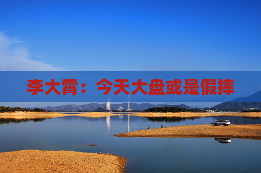 李大霄：今天大盘或是假摔