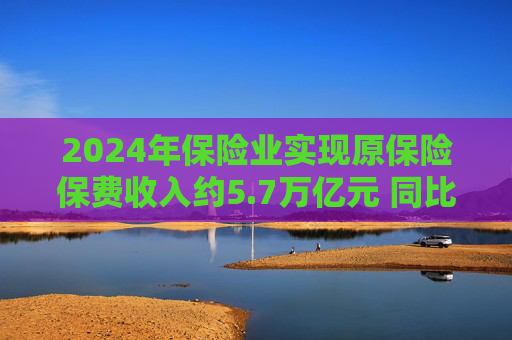 2024年保险业实现原保险保费收入约5.7万亿元 同比增长5.7%