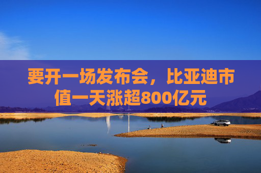 要开一场发布会，比亚迪市值一天涨超800亿元