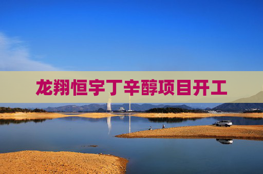 龙翔恒宇丁辛醇项目开工