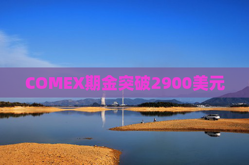 COMEX期金突破2900美元