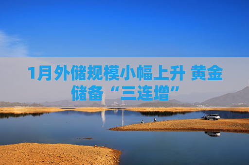 1月外储规模小幅上升 黄金储备“三连增”