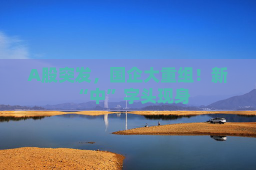 A股突发，国企大重组！新“中”字头现身