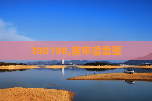 300198,被申请重整