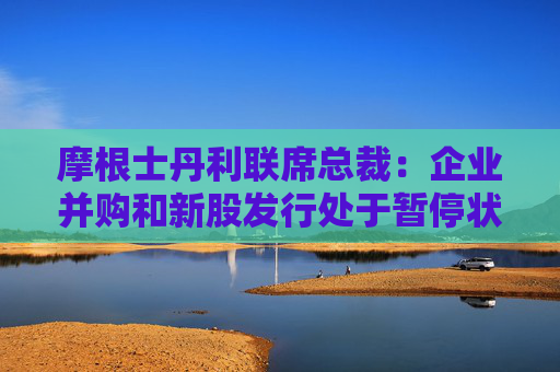 摩根士丹利联席总裁：企业并购和新股发行处于暂停状态