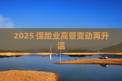 2025 保险业高管变动再升温