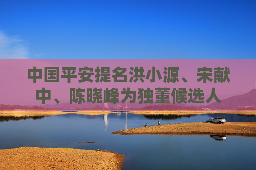 中国平安提名洪小源、宋献中、陈晓峰为独董候选人