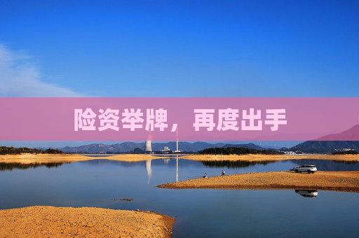 险资举牌，再度出手