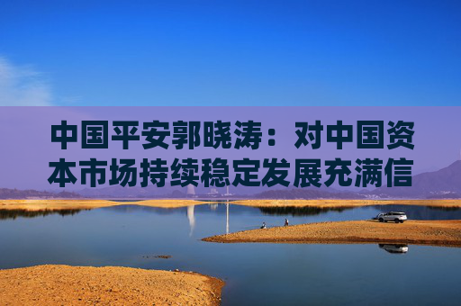 中国平安郭晓涛：对中国资本市场持续稳定发展充满信心