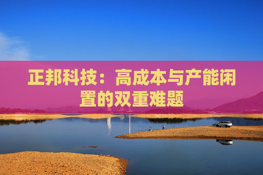 正邦科技：高成本与产能闲置的双重难题