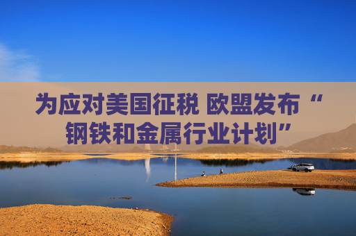 为应对美国征税 欧盟发布“钢铁和金属行业计划”