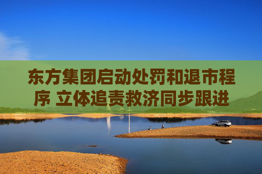 东方集团启动处罚和退市程序 立体追责救济同步跟进