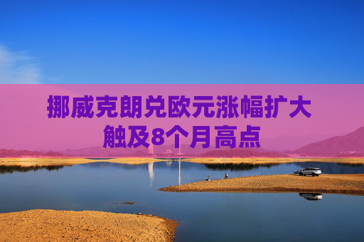 挪威克朗兑欧元涨幅扩大 触及8个月高点