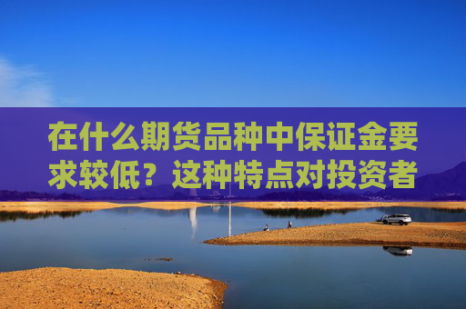 在什么期货品种中保证金要求较低？这种特点对投资者有什么吸引力？