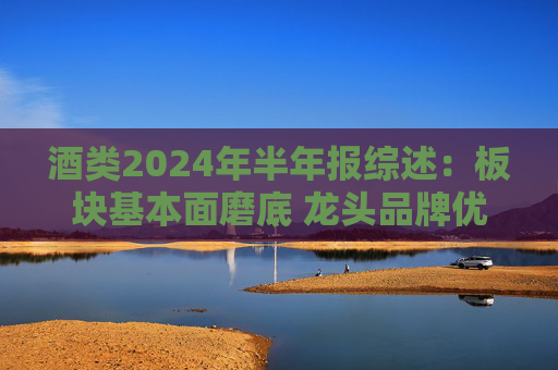酒类2024年半年报综述：板块基本面磨底 龙头品牌优势凸显