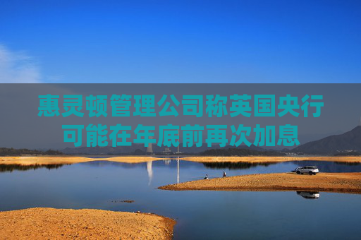 惠灵顿管理公司称英国央行可能在年底前再次加息