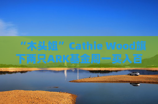 “木头姐”Cathie Wood旗下两只ARK基金周一买入百度ADR