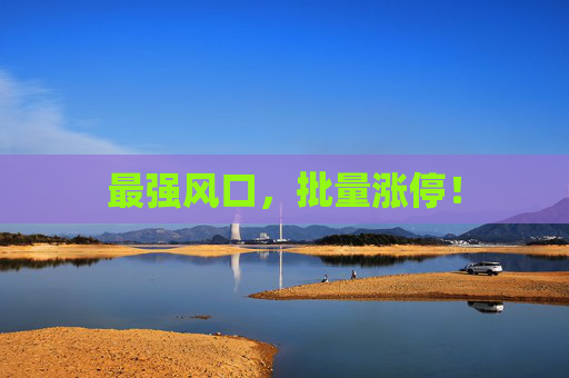 最强风口，批量涨停！