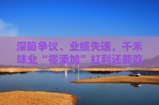 深陷争议、业绩失速，千禾味业“零添加”红利还能吃多久
