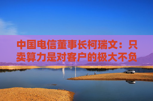 中国电信董事长柯瑞文：只卖算力是对客户的极大不负责