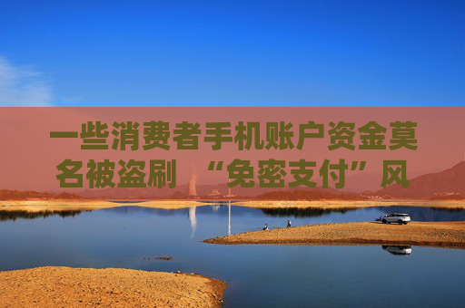 一些消费者手机账户资金莫名被盗刷  “免密支付”风险怎样防范