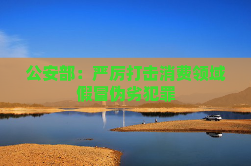 公安部：严厉打击消费领域假冒伪劣犯罪