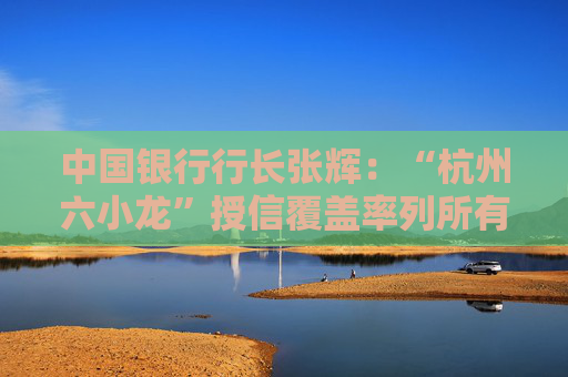 中国银行行长张辉：“杭州六小龙”授信覆盖率列所有金融机构第一