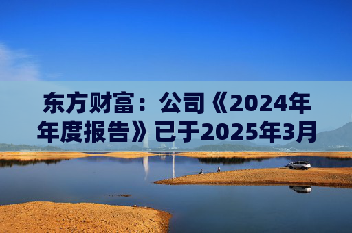 东方财富：公司《2024年年度报告》已于2025年3月15日披露