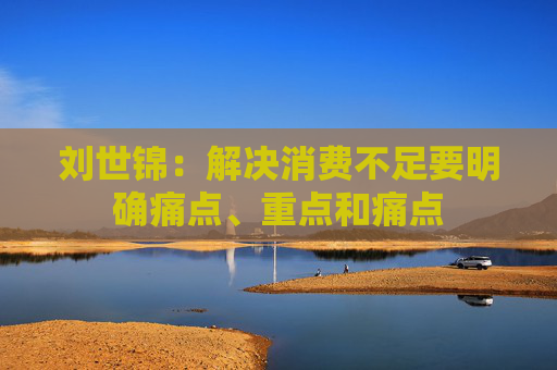 刘世锦：解决消费不足要明确痛点、重点和痛点