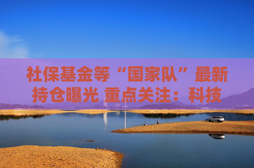社保基金等“国家队”最新持仓曝光 重点关注：科技赛道与高股息板块