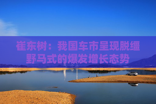 崔东树：我国车市呈现脱缰野马式的爆发增长态势