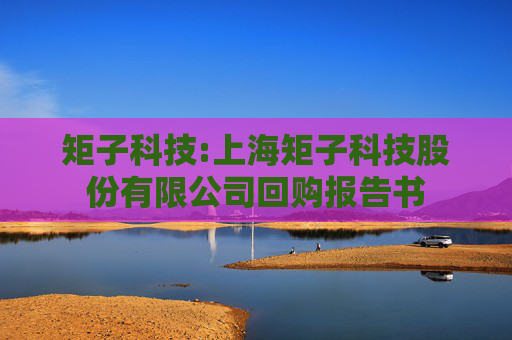 矩子科技:上海矩子科技股份有限公司回购报告书