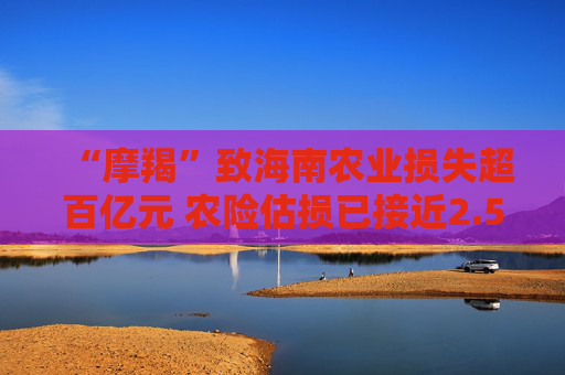 “摩羯”致海南农业损失超百亿元 农险估损已接近2.5亿元