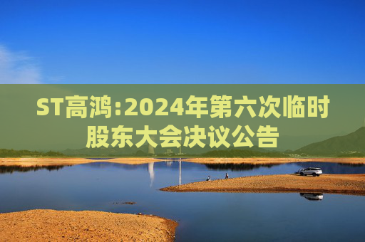 ST高鸿:2024年第六次临时股东大会决议公告
