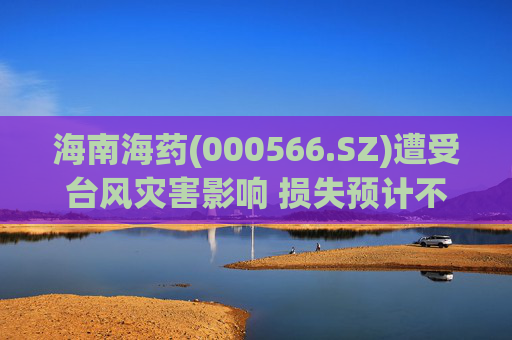 海南海药(000566.SZ)遭受台风灾害影响 损失预计不超1500万元