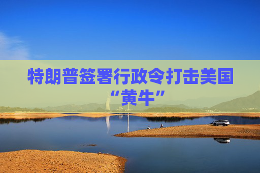 特朗普签署行政令打击美国“黄牛”