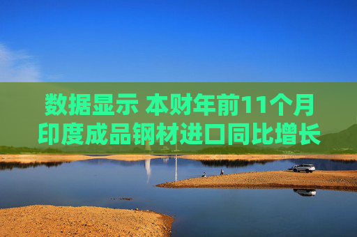 数据显示 本财年前11个月印度成品钢材进口同比增长15.8%